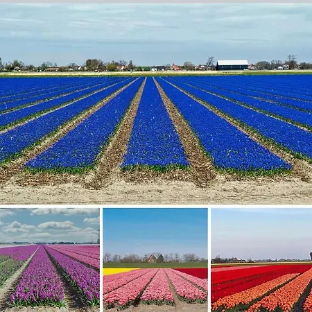 Bed & Breakfast Luxe Bloemenzicht 4 Personen, Bnb, 10 Minuten Zee