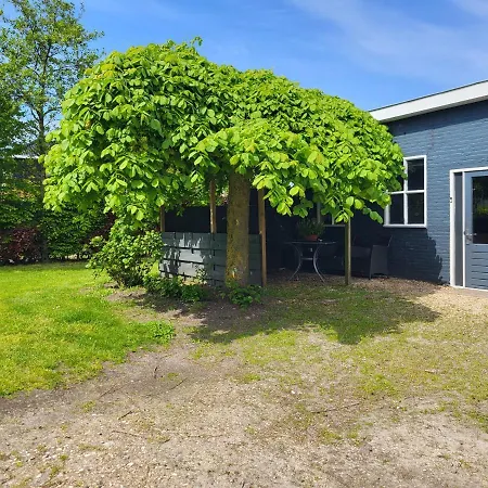 Luxe Bloemenzicht 4 Personen, Bnb, 10 Minuten Zee *
