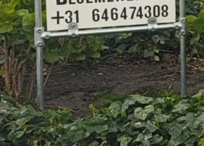 Panzió Luxe Bloemenzicht 4 Personen, Bnb, 10 Minuten Zee